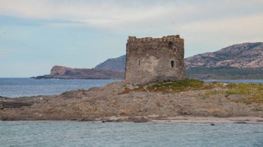 Stintino, Sardunya 'daki eski İspanyol kulesi kayalıklarda duruyor.
