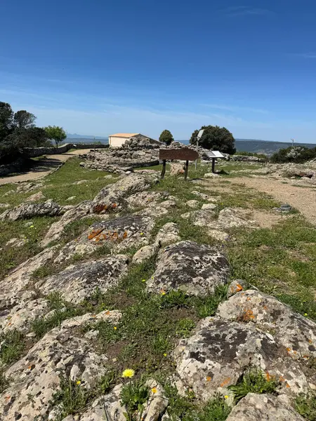 Serri 'deki Santa Vittoria' nın Nuragic Tapınağı 'nın bir parçası olan su dolu antik taş kaplı kutsal kuyu.