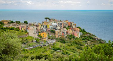 Corniglia 'da, Liguria' da, Cinque Terre 'de, İtalya' da, tepede canlı evler görülüyor.