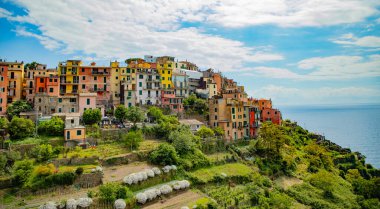 Corniglia 'da, Liguria' da, Cinque Terre 'de, İtalya' da, tepede canlı evler görülüyor.