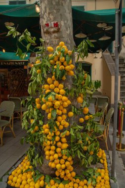 Monterosso, Liguria 'da bir sokakta el yapımı limon ve köy temalı seramik hediyelik eşya.