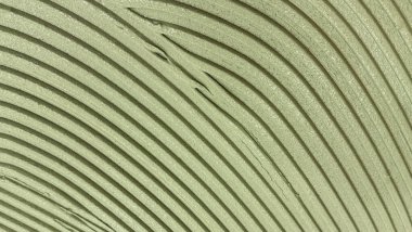 Dikey bej çizgileri ve yumuşak gölgeleri olan desenli yüzey, soyut mimari arka grup