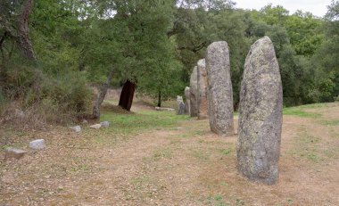 Biru 'e Concas, Sorgono' daki Sardunya ormanlarında sıralanmış antik taş menhinler.