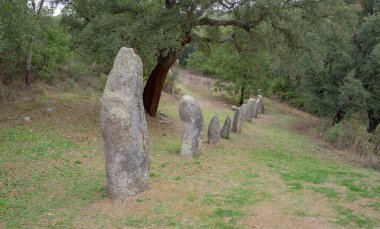 Biru 'e Concas, Sorgono' daki Sardunya ormanlarında sıralanmış antik taş menhinler.