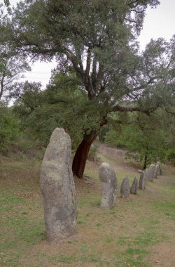 Biru 'e Concas, Sorgono' daki Sardunya ormanlarında sıralanmış antik taş menhinler.
