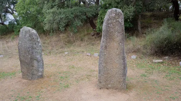Biru 'e Concas, Sorgono' daki Sardunya ormanlarında sıralanmış antik taş menhinler.