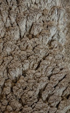 Ispinigoli Mağarası 'nın içinde yumuşak ışıklarla aydınlatılmış görkemli sarkıtlar ve dikitler.