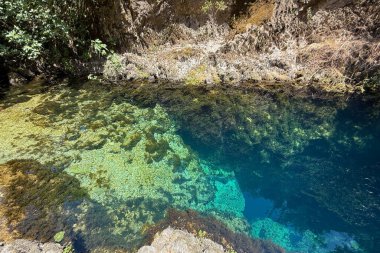 Sardunya 'da şeffaf turkuaz su ve su altı kayalarıyla doğal karst pınarı.