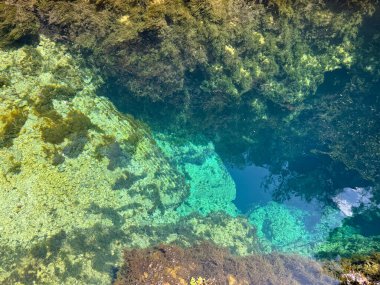 Sardunya 'da şeffaf turkuaz su ve su altı kayalarıyla doğal karst pınarı.