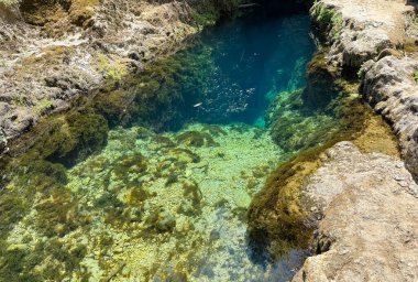 Sardunya 'da şeffaf turkuaz su ve su altı kayalarıyla doğal karst pınarı.