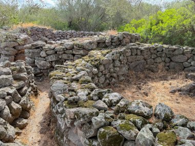 Sardunya 'nın Serra Orrios kasabasındaki tarih öncesi taş barakaların kalıntıları.