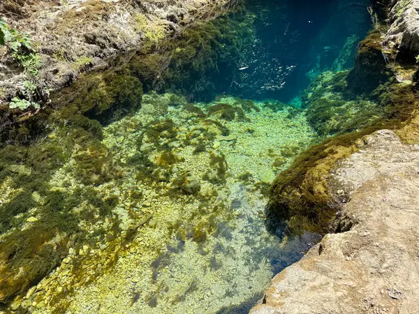 Sardunya 'da şeffaf turkuaz su ve su altı kayalarıyla doğal karst pınarı.