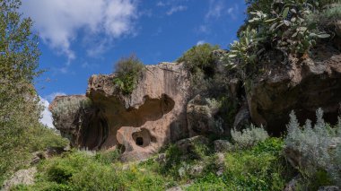 Sardunya ormanlarıyla çevrili, taşa oyulmuş tarih öncesi Domus de Janas mezarı.