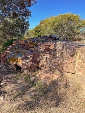 Sardunya 'daki Monte Sirai Tophet' de yerde duran terracotta adak kavanozları.