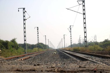 Yaz güneşli bir günde boş düz tek yönlü demiryolları.