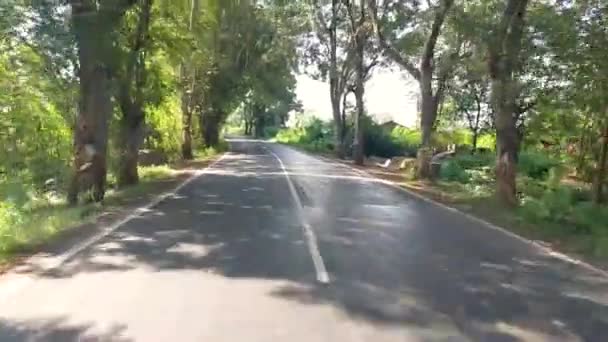 Driving Road Forest Pov Shot Camera Driving Beautiful Empty Road — Stockvideo