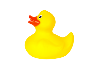 Sarı plastik ördek, png stok fotoğraf dosyası kesilip şeffaf bir arkaplanda izole edilmiş.