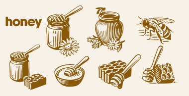 Bal seti tasarım şablonu, el yapımı taze bal, bal peteği parçaları, bütün bal malzemeleri, arılar ve sıkılmış bal. Doğal bal vektör şablonu