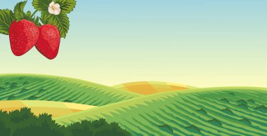 Tepelerin arkasındaki çilek bahçesinin vektör görüntüsü, parlak bulutlar ve güzel manzaralı.