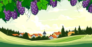 Kırsaldaki üzüm bağlarının manzarası 