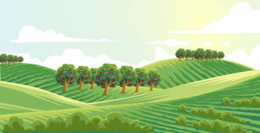  Tarımsal alandaki elma bitkileriyle dolu tepelik manzaranın gösterimi