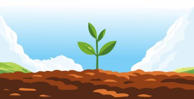 Mavi gökyüzünün altında verimli kahverengi topraktan küçük yeşil bir fide yetişiyor..