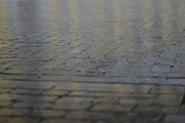 Rain Pavement Close — Stock Photo, Image