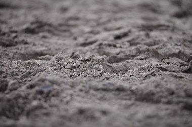 Kumlu zemin, çeşitli keskinliklerle yakın plan gibi.