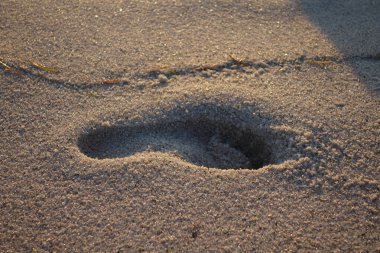 Güneşli bir sabahta kumsalda insan ayak izi.