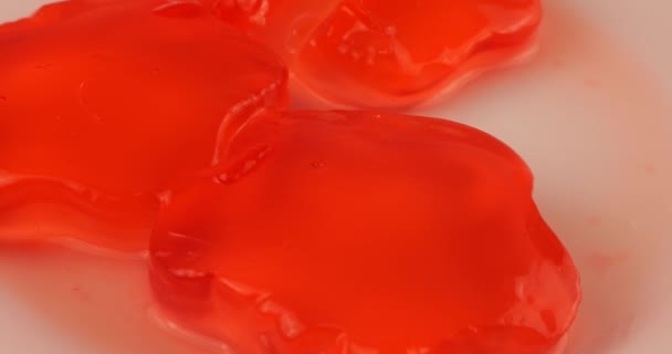 Wiebelende Gelei Het Slaan Met Een Lepel Berry Gelatine Gelei — Stockvideo