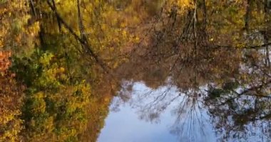 Sonbaharda Forest Gölü. Sudaki ağaçların yansıması..