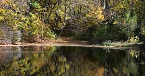 Jezioro Leśne Jesienią Odbicie Drzew Wodzie — Wideo stockowe