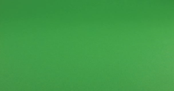 Weiße Schwanenfedern Fallen Auf Einen Grünen Hintergrund Zeitlupe — Stockvideo