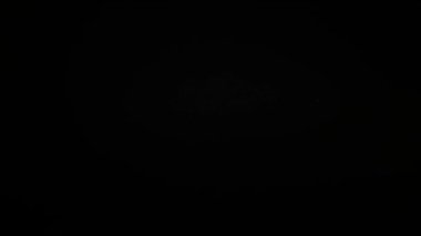 Siyah arka planda beyaz kuğu tüyleri dökülüyor. Yavaş çekim.