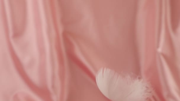 Piume Cigno Bianco Cadono Uno Sfondo Rosa Pastello Setoso Rallentatore — Video Stock