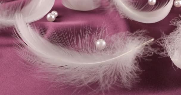 Пір Білого Лебедя Фіолетовому Сливовому Шовку Перлами — стокове відео