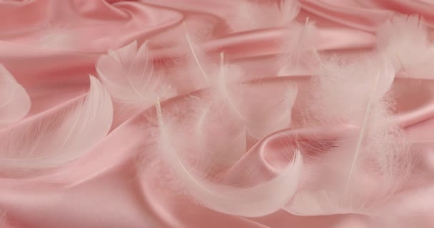 粉红绸缎上的白天鹅羽毛 — 图库视频影像
