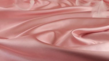 Beyaz kuğu tüyleri pastel pembe ipeğe düşer. Yavaş çekim.