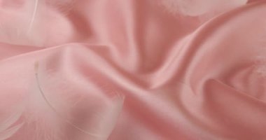 Pastel pembe ipek üzerinde beyaz kuğu tüyleri.