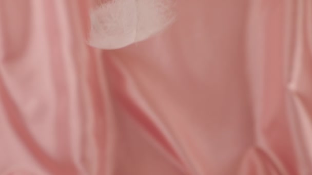 Penas Cisne Branco Caem Fundo Rosa Pastel Sedoso Movimento Lento — Vídeo de Stock