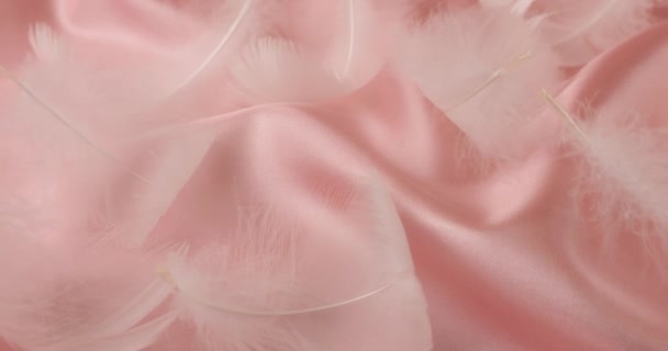 Penas Cisne Branco Seda Rosa Pastel — Vídeo de Stock