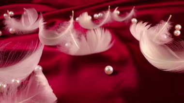 Kırmızı ipekli beyaz kuğu tüyleri..