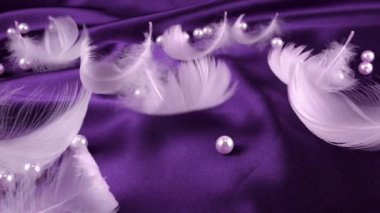 Beyaz kuğu tüyleri menekşe ipeğine düşer. Yavaş çekim.