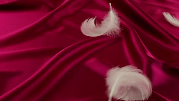 白い白鳥の羽は赤い絹の上に落ちる スローモーション — ストック動画