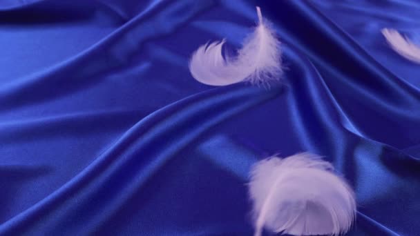 Penas Brancas Cisne Caem Sobre Seda Azul Movimento Lento — Vídeo de Stock