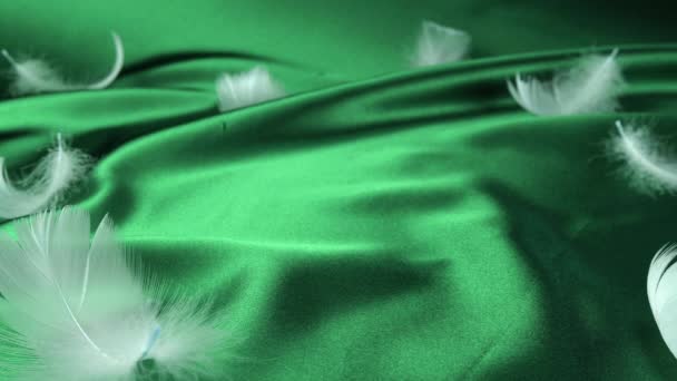 白い白鳥の羽は緑の絹の上に落ちる スローモーション — ストック動画
