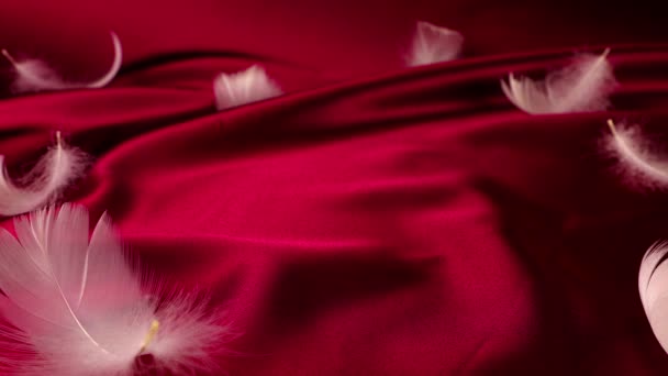 Penas Cisne Branco Caem Sobre Seda Vermelha Movimento Lento — Vídeo de Stock