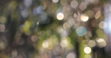 Bir ağacın dallarından damlayan su damlaları güneşin arka planındaki ışınlara karşı. Ağaç dallarında eriyen karlar. Kışın çekim. Odaklanamıyorum.