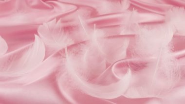 Pastel pembe ipek üzerinde beyaz kuğu tüyleri.