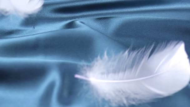Penas Cisne Branco Caem Sobre Seda Azul Real Movimento Lento — Vídeo de Stock